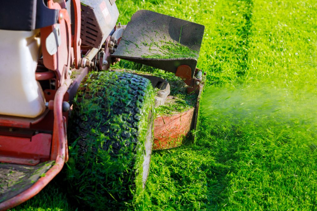 lawn mowing services in Florida