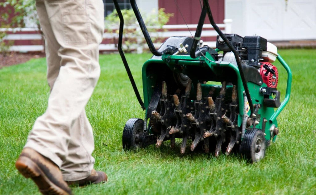 Lawn Aeration Service in Florida