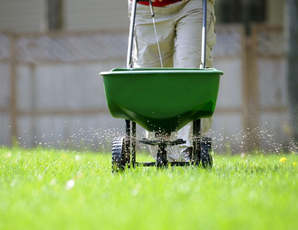 Fertilization Service for Lawn care
