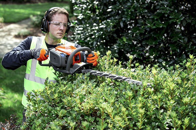 Stunning Tree and Shrub Care Treatment at McGuire's Beautiful Outdoors, Land O Lakes FL