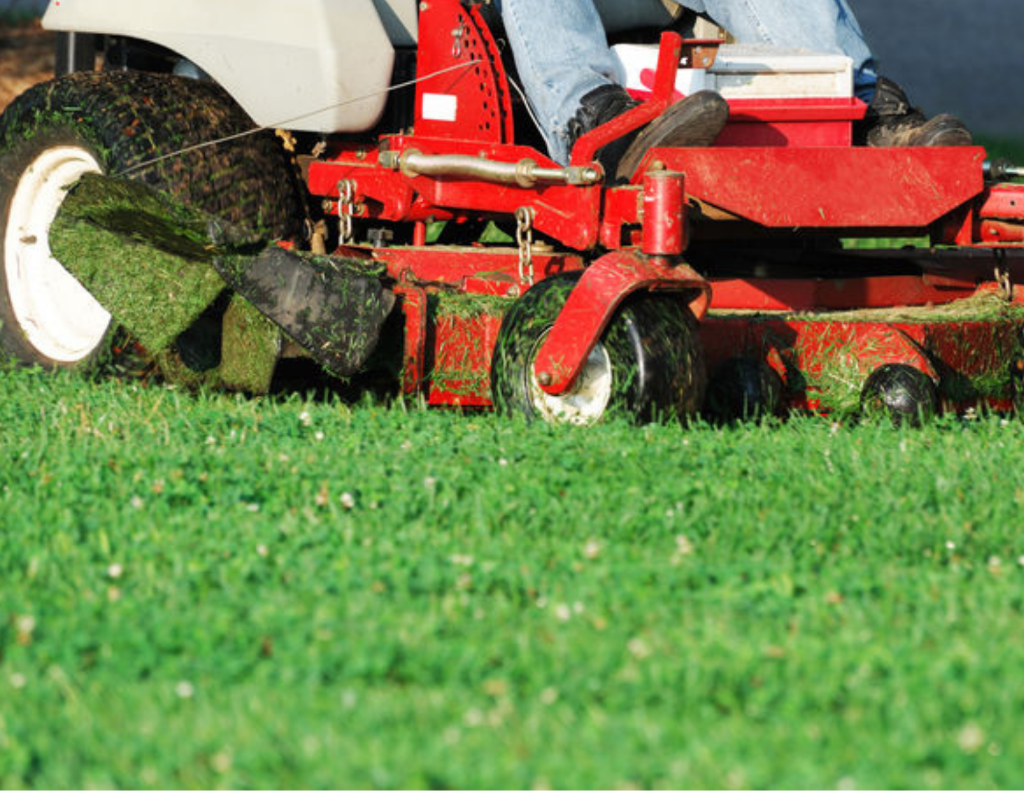Professional Lawn Maintenance Mowing Service at McGuire's Outdoors, Land O Lakes FL