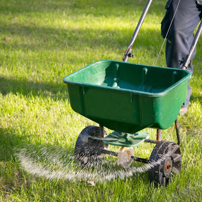 Lawn Technician Using Fertilizer Spreader at McGuire's Outdoors, Land O Lakes FL